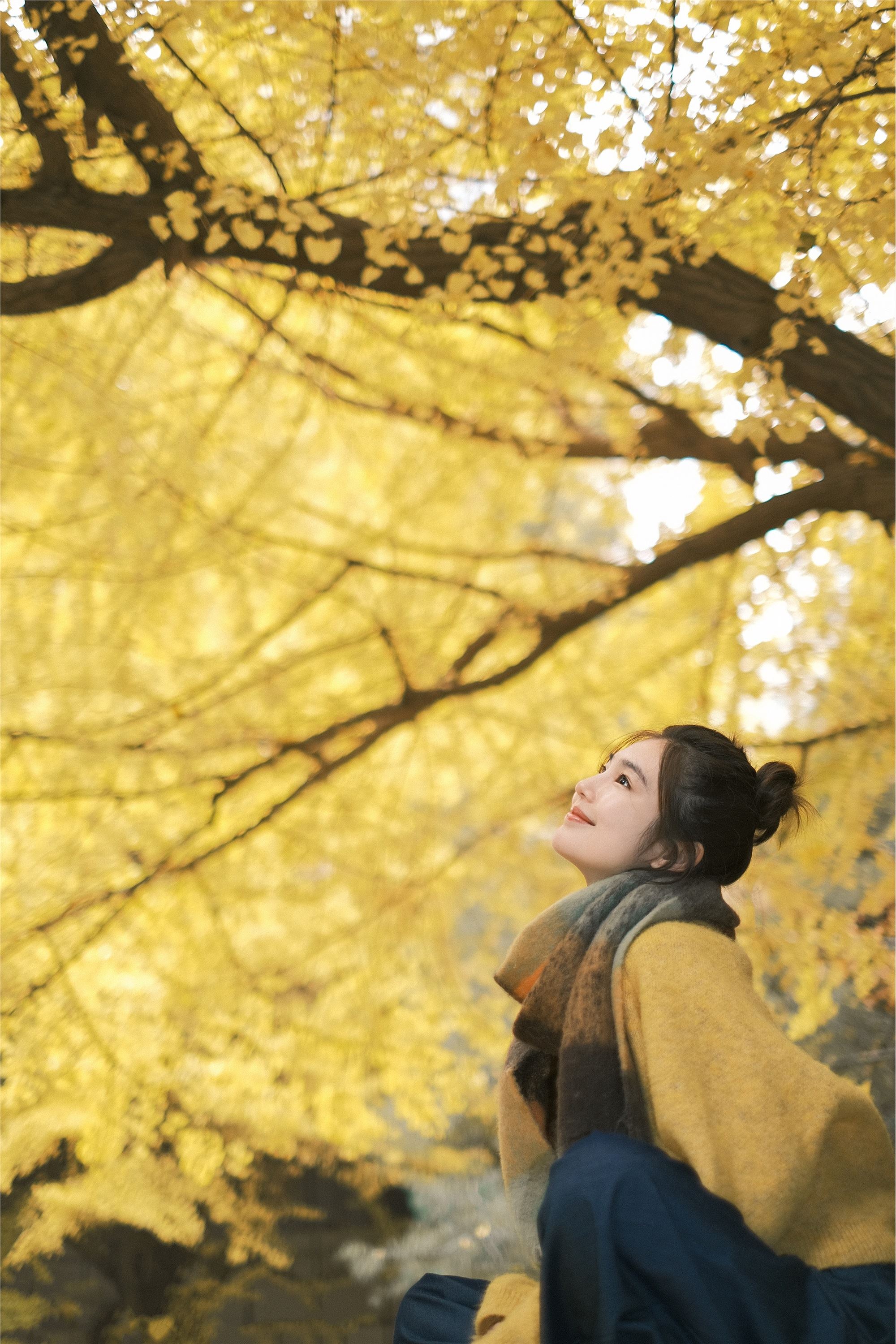 YITUYU艺图语 2025.01.26 窗边秋色 凡凡